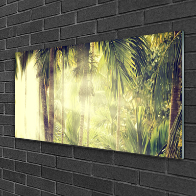 Schilderij op acrylglas Palm tree forest nature
