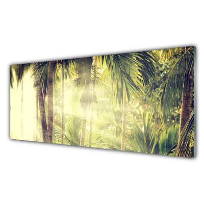 Schilderij op acrylglas Palm tree forest nature