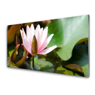 Schilderij op acrylglas Natuur bloem plant