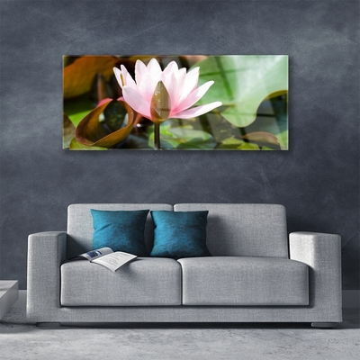 Schilderij op acrylglas Natuur bloem plant