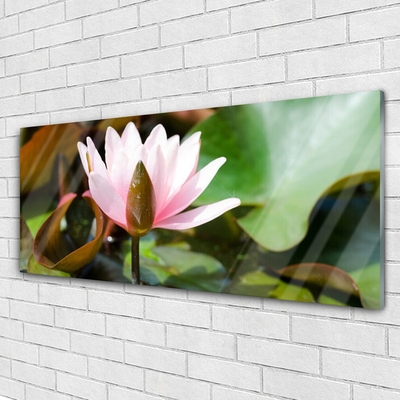 Schilderij op acrylglas Natuur bloem plant