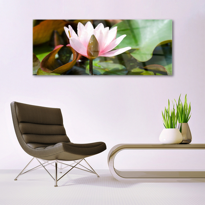 Schilderij op acrylglas Natuur bloem plant