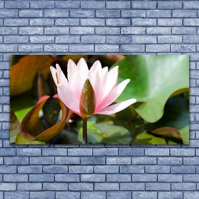 Schilderij op acrylglas Natuur bloem plant