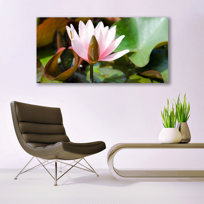 Schilderij op acrylglas Natuur bloem plant