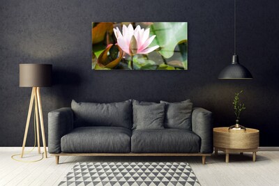 Schilderij op acrylglas Natuur bloem plant