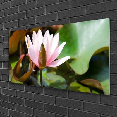 Schilderij op acrylglas Natuur bloem plant