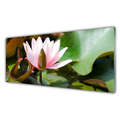 Schilderij op acrylglas Natuur bloem plant
