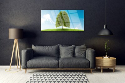 Schilderij op acrylglas Grass nature tree longen