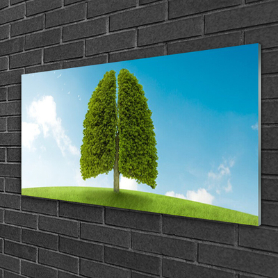 Schilderij op acrylglas Grass nature tree longen