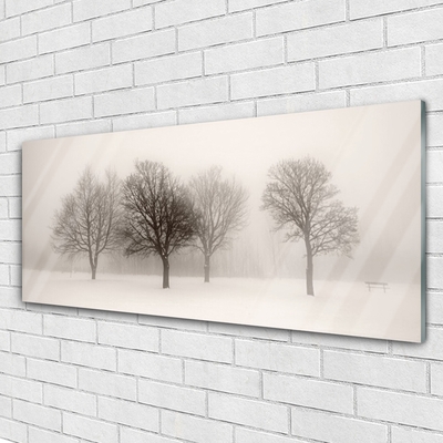 Schilderij op acrylglas Sneeuw bomen van het landschap