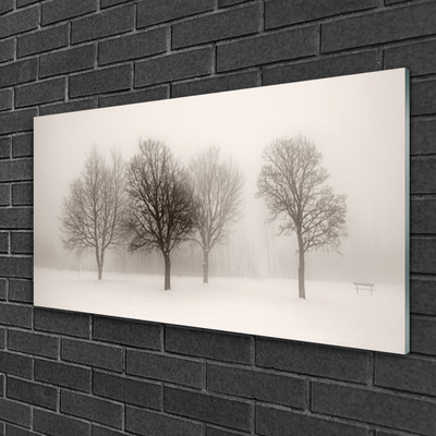 Schilderij op acrylglas Sneeuw bomen van het landschap