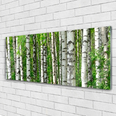 Schilderij op acrylglas Natuur plant bosbomen