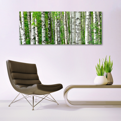 Schilderij op acrylglas Natuur plant bosbomen