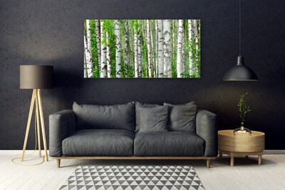 Schilderij op acrylglas Natuur plant bosbomen