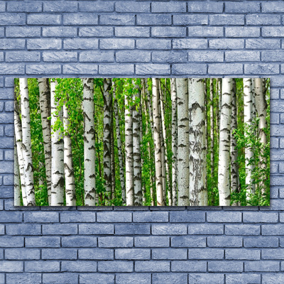 Schilderij op acrylglas Natuur plant bosbomen