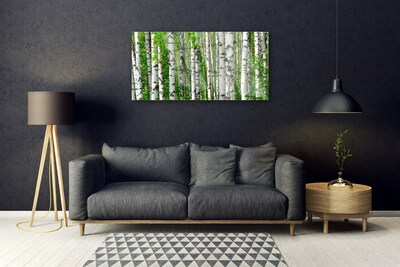 Schilderij op acrylglas Natuur plant bosbomen