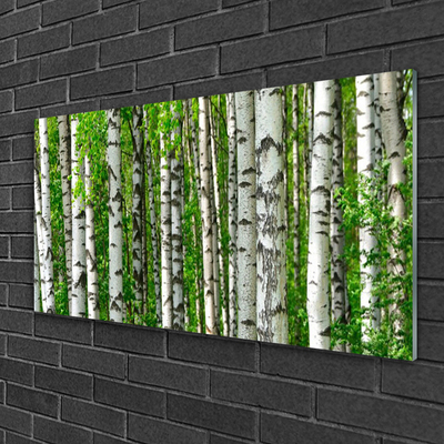 Schilderij op acrylglas Natuur plant bosbomen