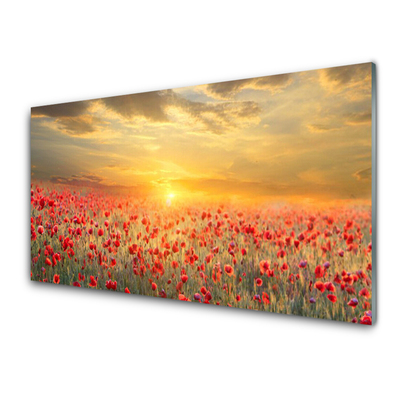 Schilderij op acrylglas Zon meadow bloemen van de papaver