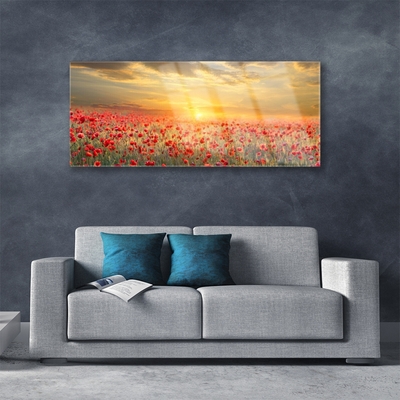 Schilderij op acrylglas Zon meadow bloemen van de papaver