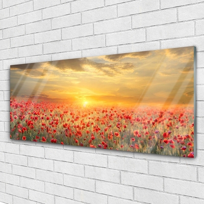 Schilderij op acrylglas Zon meadow bloemen van de papaver