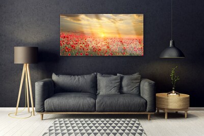 Schilderij op acrylglas Zon meadow bloemen van de papaver