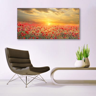 Schilderij op acrylglas Zon meadow bloemen van de papaver