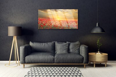 Schilderij op acrylglas Zon meadow bloemen van de papaver