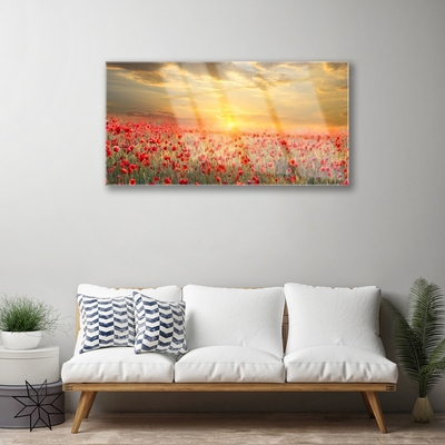 Schilderij op acrylglas Zon meadow bloemen van de papaver