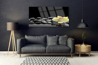 Plexiglas schilderij Zwarte bloem kitchen