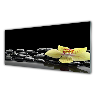 Plexiglas schilderij Zwarte bloem kitchen