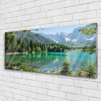 Plexiglas schilderij Natuur bergen lake forest