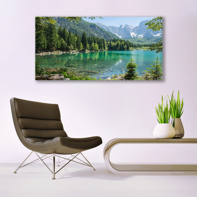Plexiglas schilderij Natuur bergen lake forest