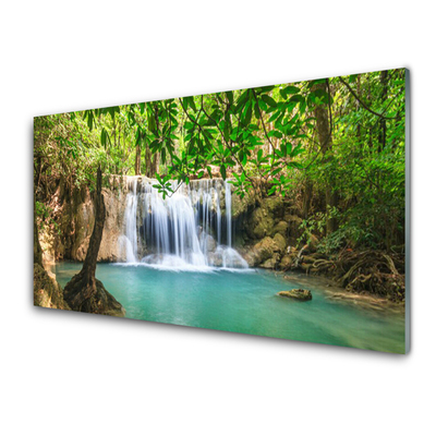 Plexiglas schilderij Waterval lake forest nature