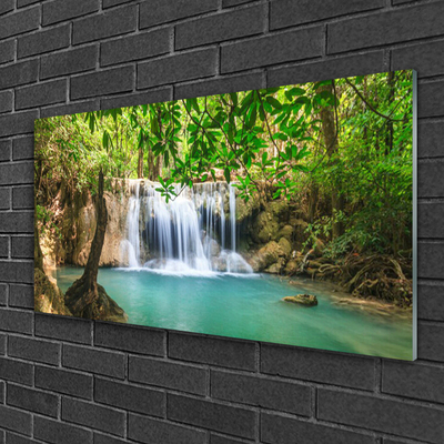 Plexiglas schilderij Waterval lake forest nature