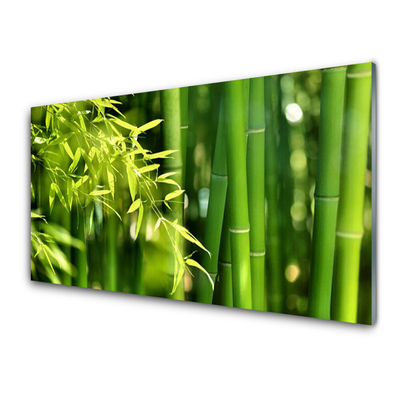 Plexiglas schilderij Bladeren van het bamboe plant