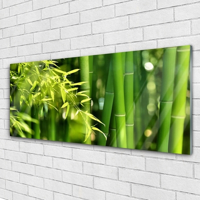 Plexiglas schilderij Bladeren van het bamboe plant