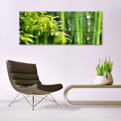 Plexiglas schilderij Bladeren van het bamboe plant
