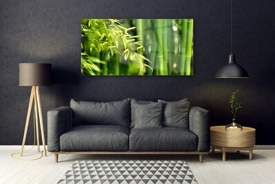 Plexiglas schilderij Bladeren van het bamboe plant
