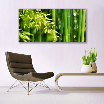 Plexiglas schilderij Bladeren van het bamboe plant