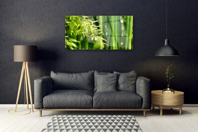 Plexiglas schilderij Bladeren van het bamboe plant