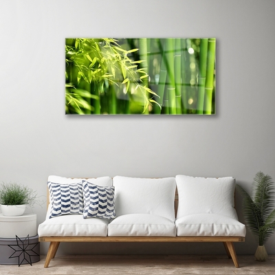 Plexiglas schilderij Bladeren van het bamboe plant