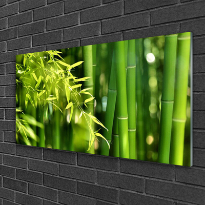 Plexiglas schilderij Bladeren van het bamboe plant