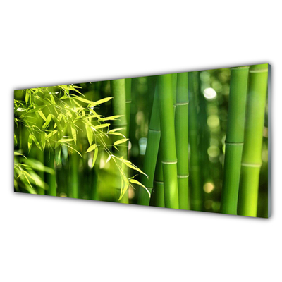 Plexiglas schilderij Bladeren van het bamboe plant