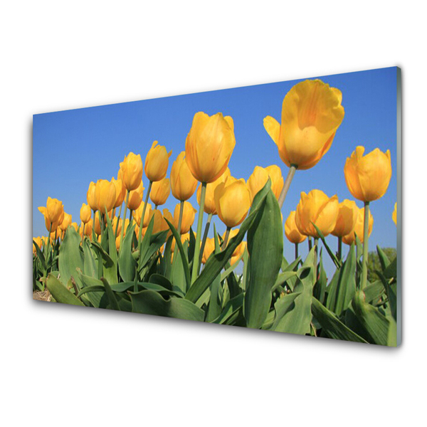 Plexiglas schilderij Tulpen bloemen plant