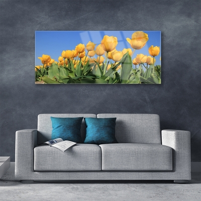 Plexiglas schilderij Tulpen bloemen plant