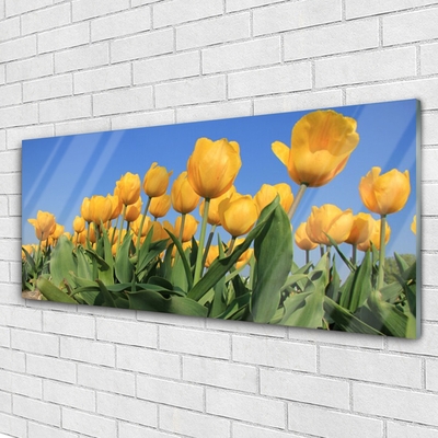 Plexiglas schilderij Tulpen bloemen plant