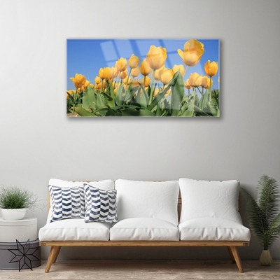 Plexiglas schilderij Tulpen bloemen plant