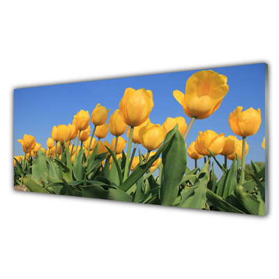 Plexiglas schilderij Tulpen bloemen plant