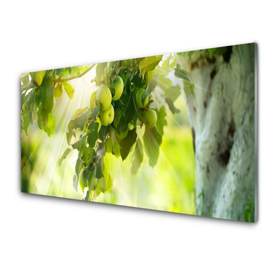 Plexiglas schilderij Apple tree branch natuur