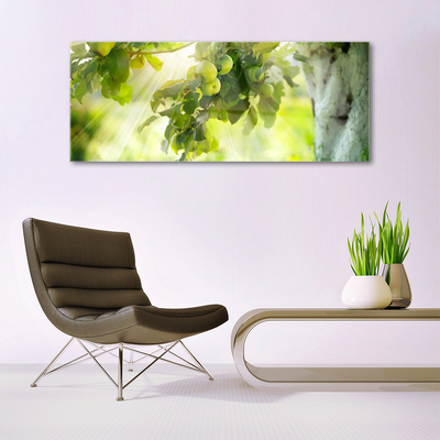 Plexiglas schilderij Apple tree branch natuur